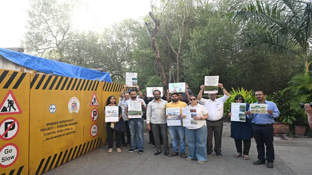 Versova–Dahisar Coastal Road: Mumbaikars hold protest against mangrove felling 