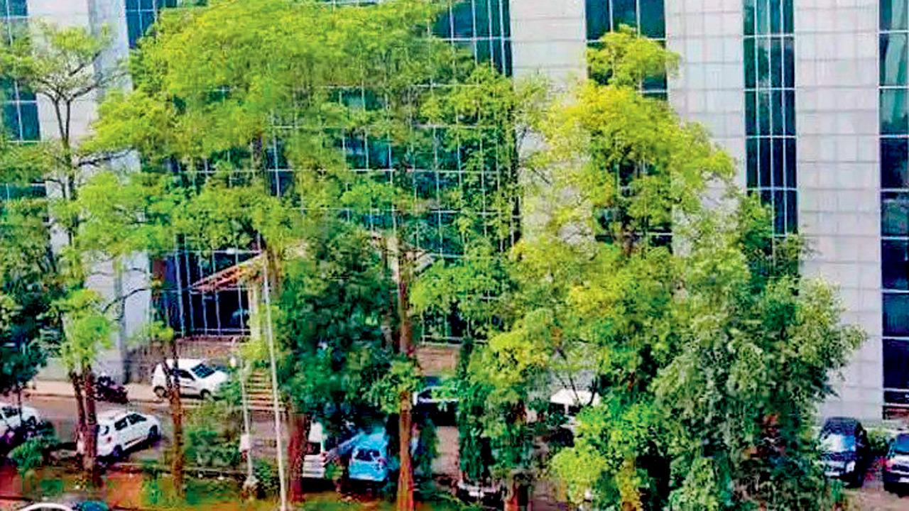 Maharashtra crosses Rs 1,000-crore mark in cybercrime recoveries