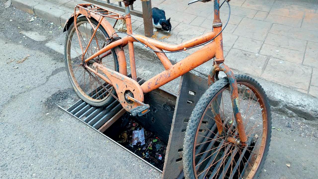 This cycle may serve as warning. Pics/By Special Arrangement