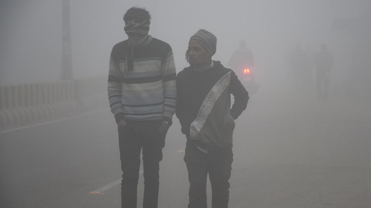<p>According to the weather office, visibility at Safdarjung stood at 100 metres at 7.30 am, which improved to 200 metres by 8.30 am.</p>