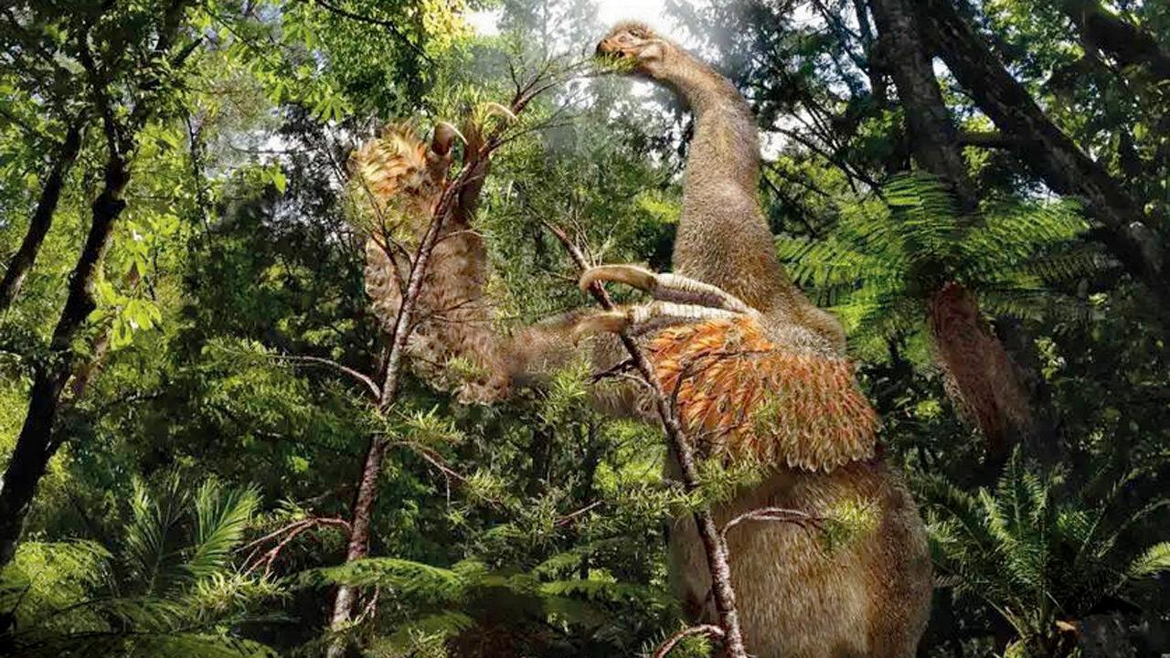 Duonychus tsogtbaatari. PIC COURTESY/Masato Hattori