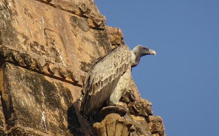 Image for representational purpose only. Photo Courtesy: File pic