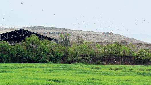 Right to breathe clean air is fundamental, says Bombay High Court