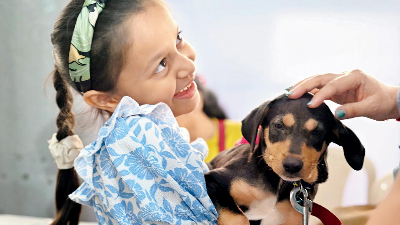 A child pets a pup at the adoptathon in Bandra. Pic/Atul Kamble