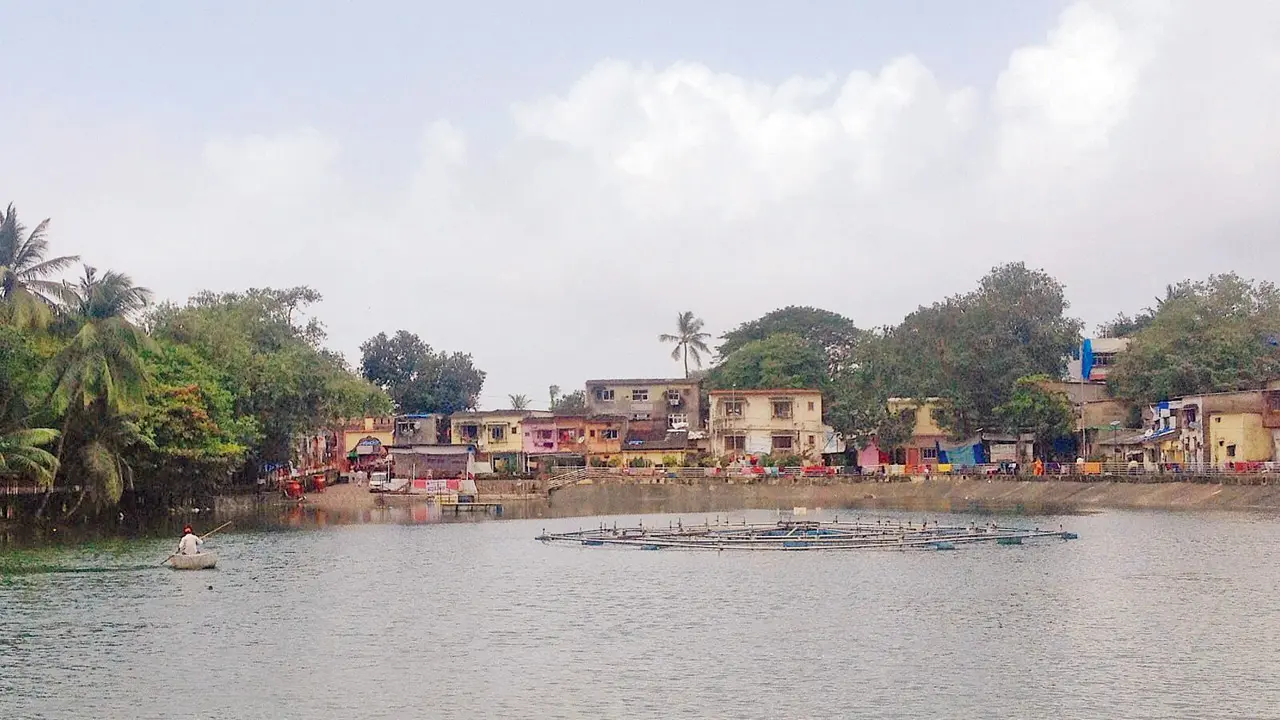 The reptile was first reported from Sheetal talao in Ambedkar Nagar, Kurla, two weeks ago