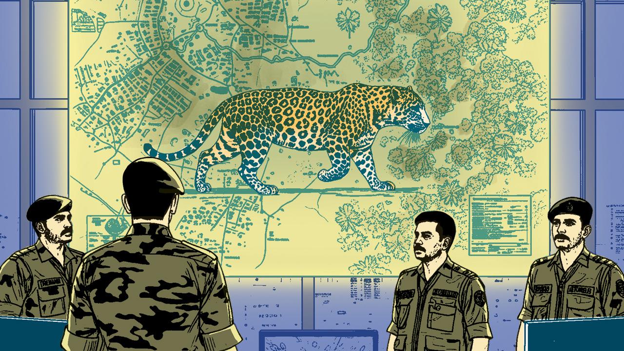 Forest officials say collaring will help understand how leopards are using the landscape so that long-term conservation and management strategies can be planned. Illustrations/Uday Mohite