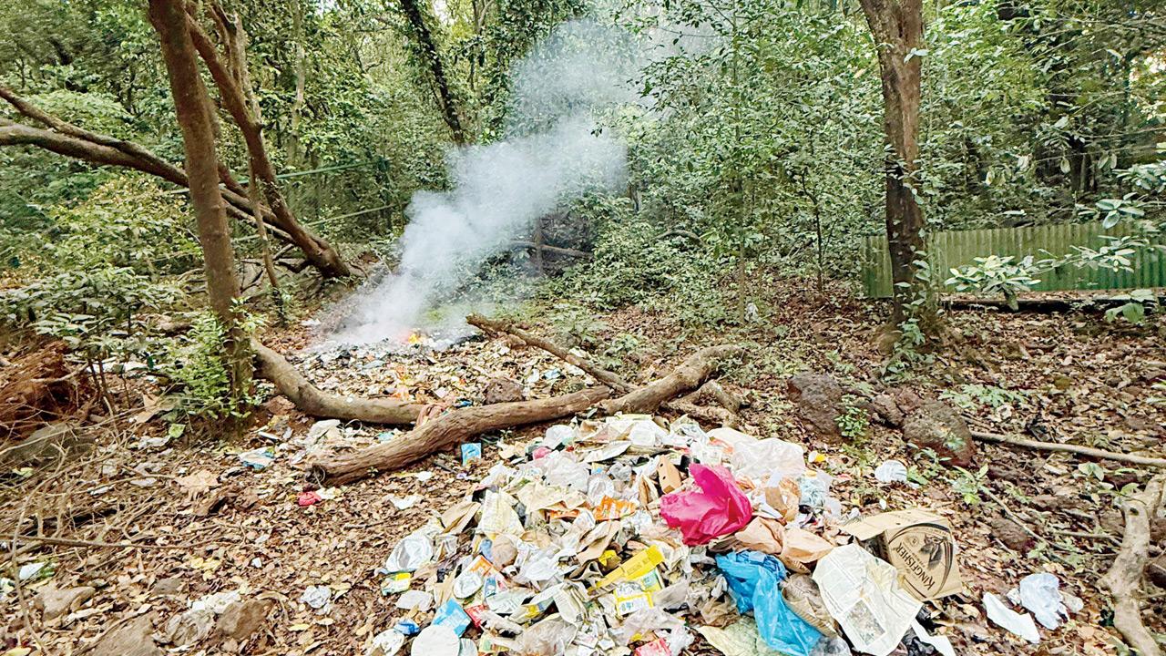 Maharashtra: Open waste burning in Matheran raises environmental concerns