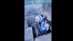 Mumbai police constable rescues 9-foot python from Dharavi