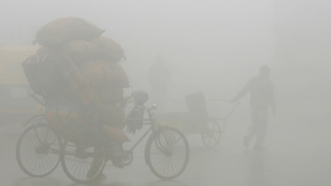 Delhi chokes under 'severe' air quality, thick layer of smog engulfs city