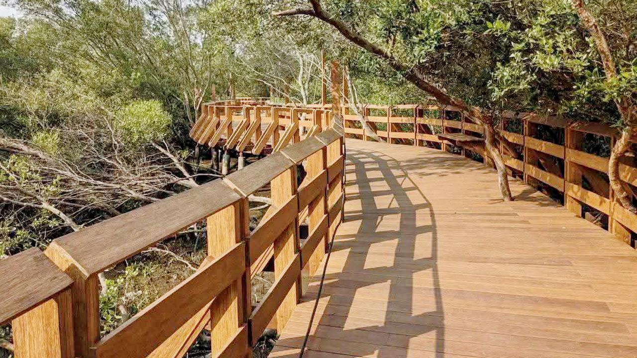 Gorai mangrove park ready, inauguration delayed due to upcoming BMC polls