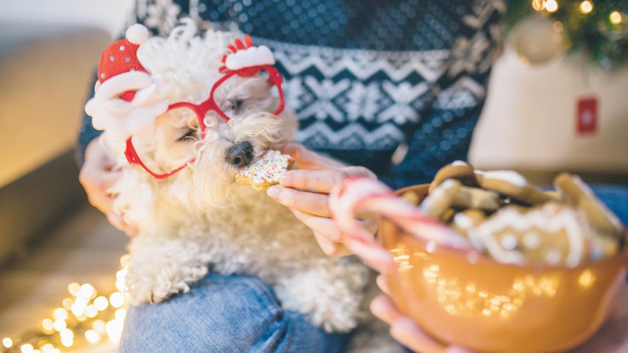 REPRESENTATION PIC/ISTOCK