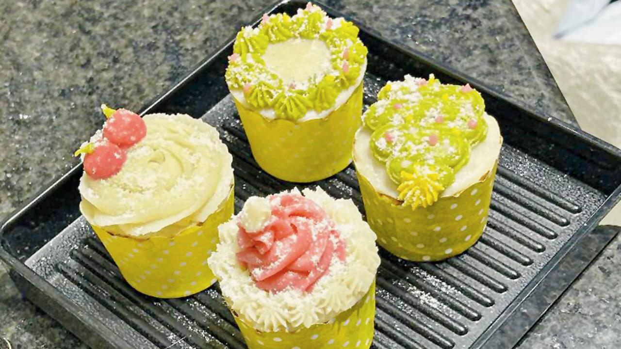 PIC COURTESY/APETTERLIFE