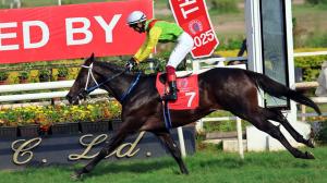 Baychimo may turn tables on Zacharias in 2000 Guineas