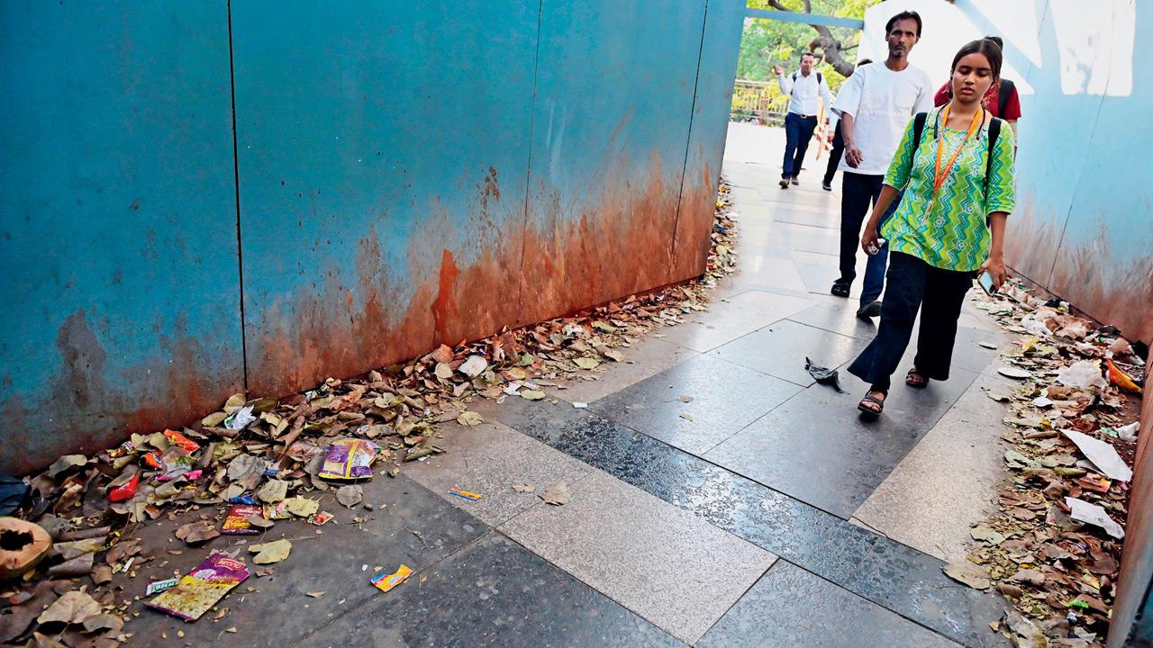No one owns Matunga Z Bridge as BMC, Railways pass the buck on cleanliness