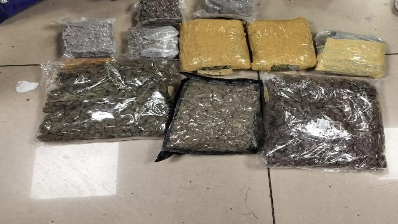 Customs seizes 33.4 kg of hydroponic weed from 11 passengers at Mumbai Airport