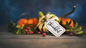 It’s the time to love social media