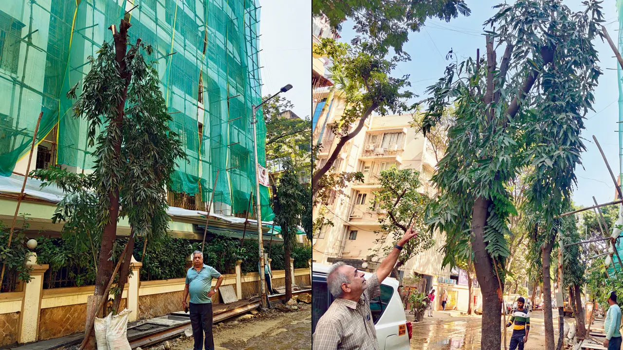 Santacruz residents protest tree cutting amid BMC road and gutter widening work