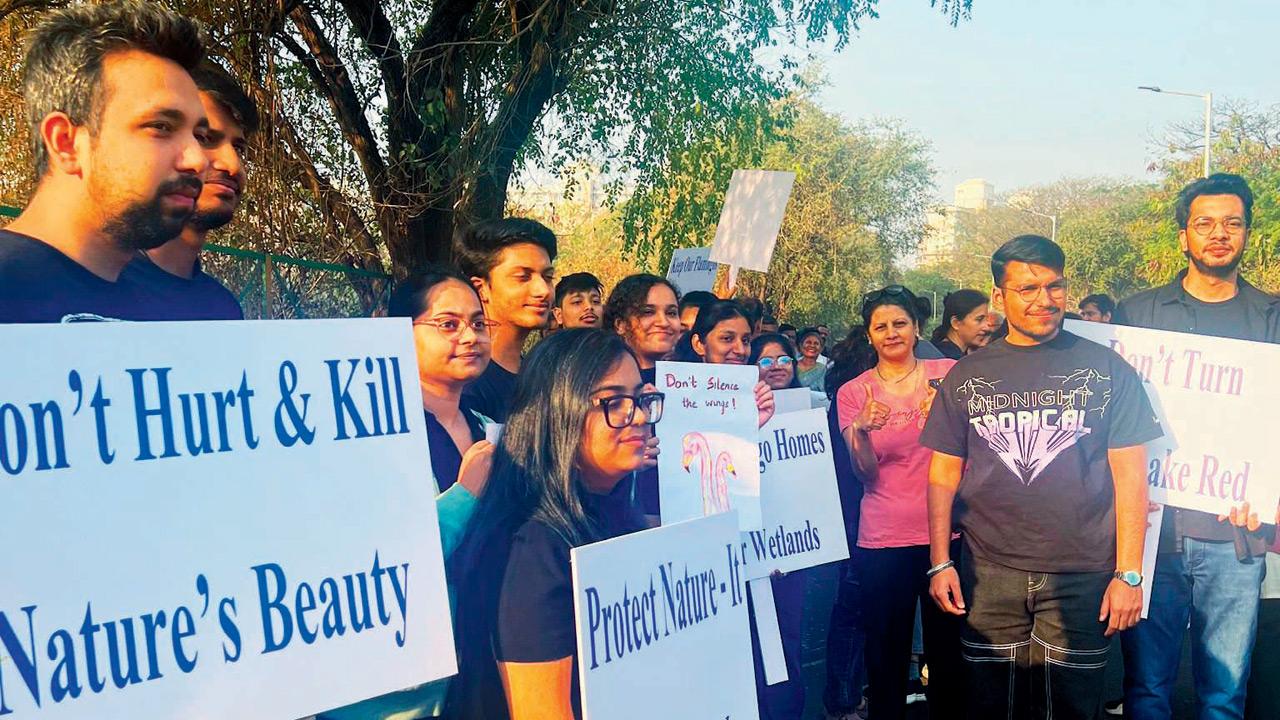 Members at a march held this year for conservation of flamingos in Mumbai. Pics courtesy/Siya Gupta