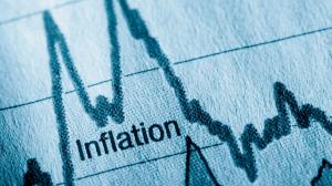 WPI inflation remains negative at minus 0.32 per cent in November