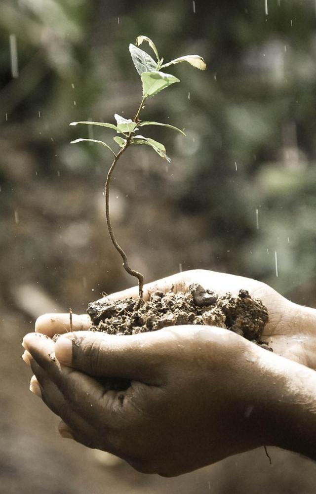 World Soil Day 2025: 5 fascinating facts you need to know