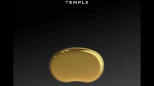 Zomato CEO Deepinder Goyal unveils teaser of ‘Temple’, a brain-flow device