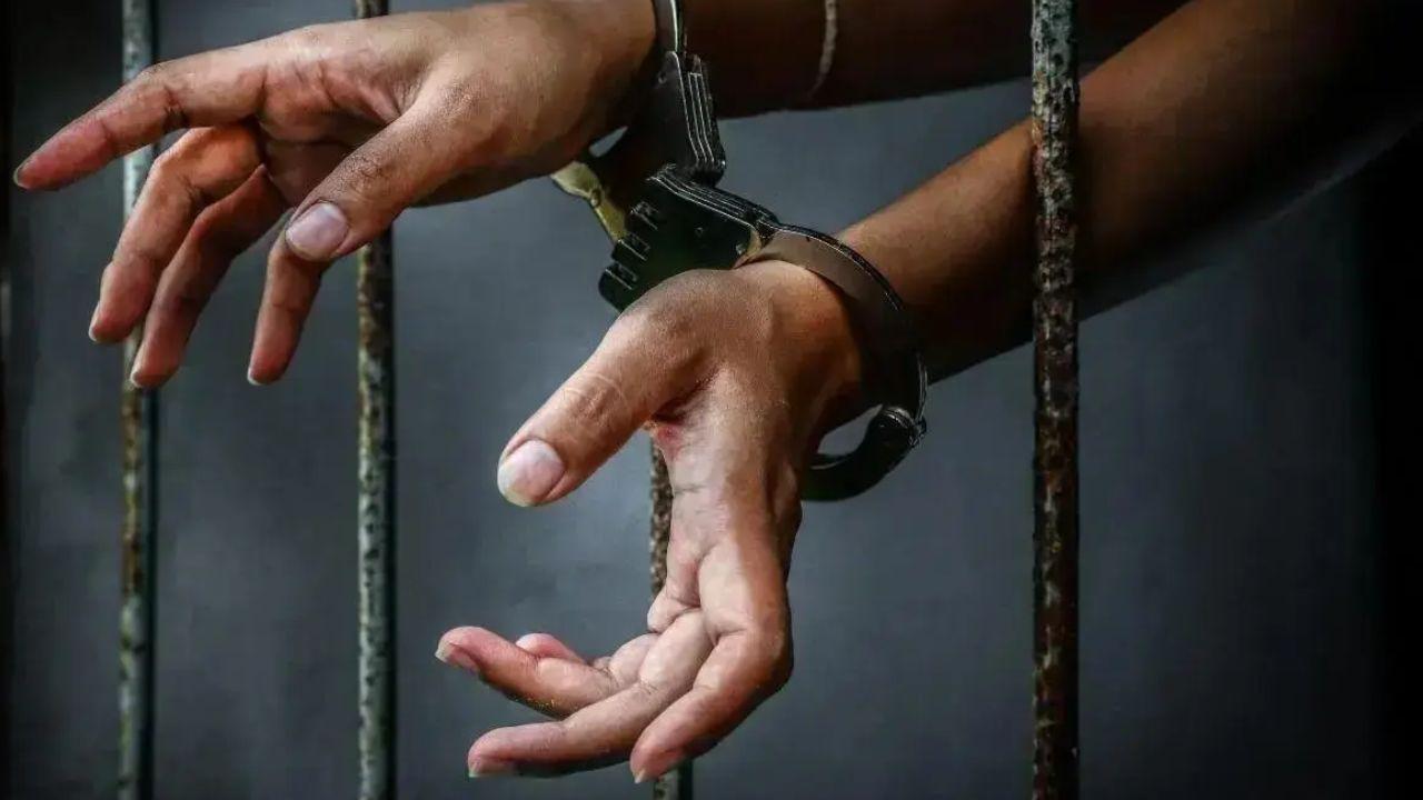 Maharashtra: AIU siezes 2.29 kg of hydroponic marijuana at Pune Airport