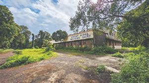 Authorities warn public against trespassing in Aarey Forest on NY’s eve