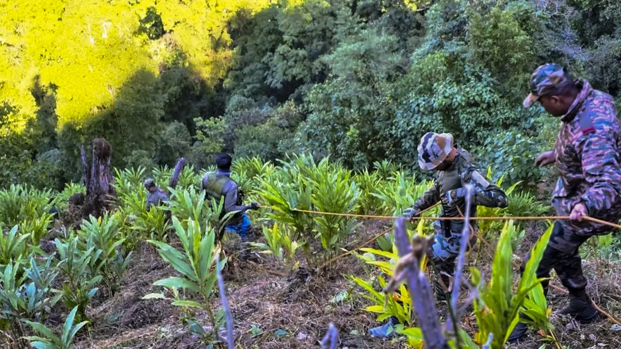 AP: 21 feared dead after mini truck falls into gorge; PM Modi expresses grief