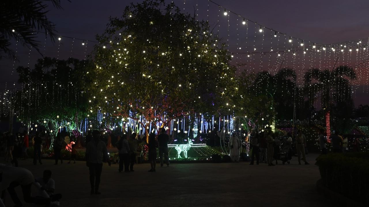 The display aims to create a vibrant and joyful atmosphere for residents and tourists alike