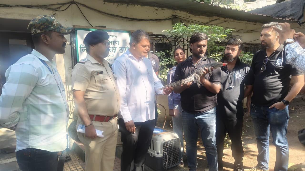 The rescue comes just days after mid-day reported increasing concerns over unusual wildlife sightings in the locality