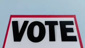 Which issue should MMR civic bodies prioritise post-elections?