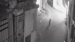 Search operations launched after video of leopard sighting in Dahanu goes viral