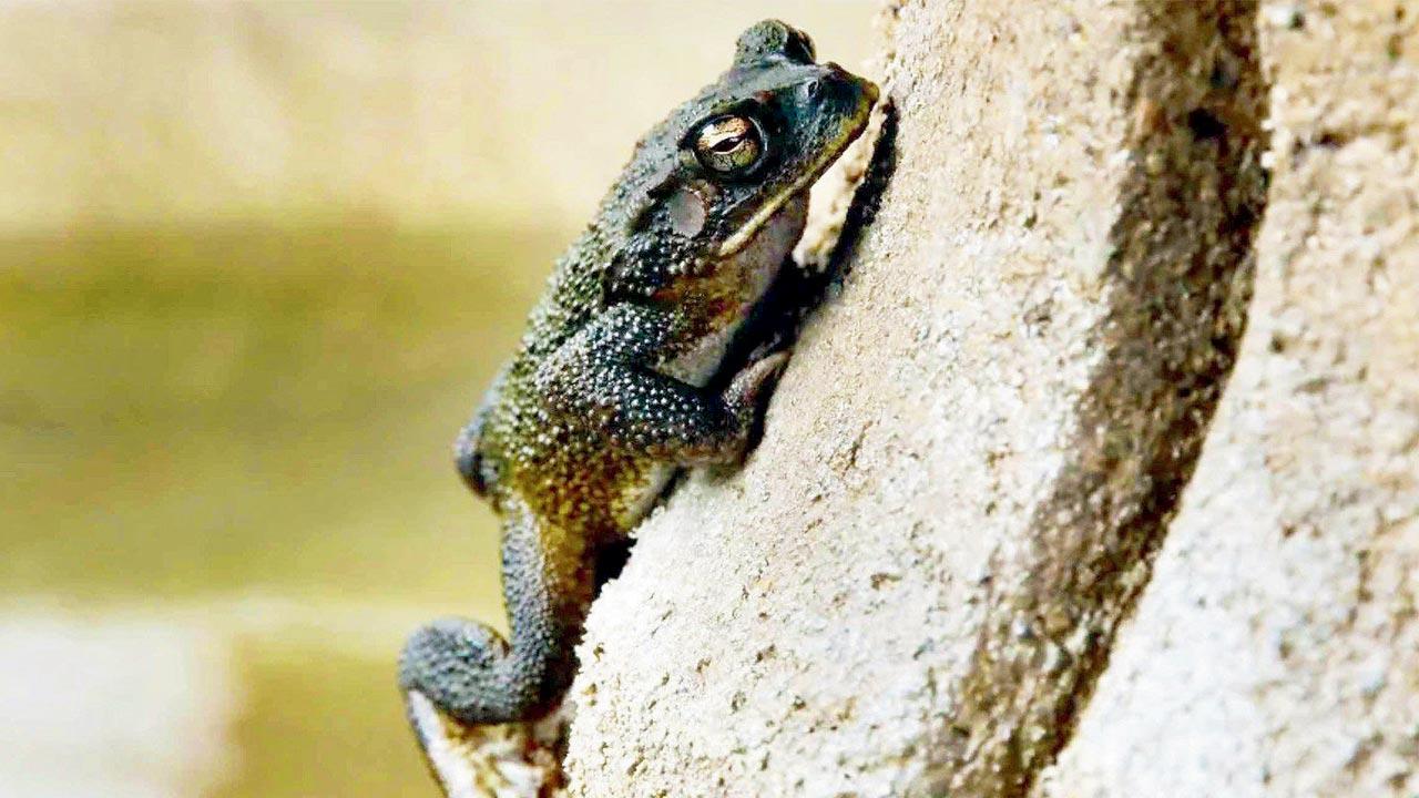 Pic/Instagram@earthdotcom