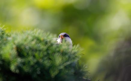 Image for representational purpose only. Photo Courtesy: File pic