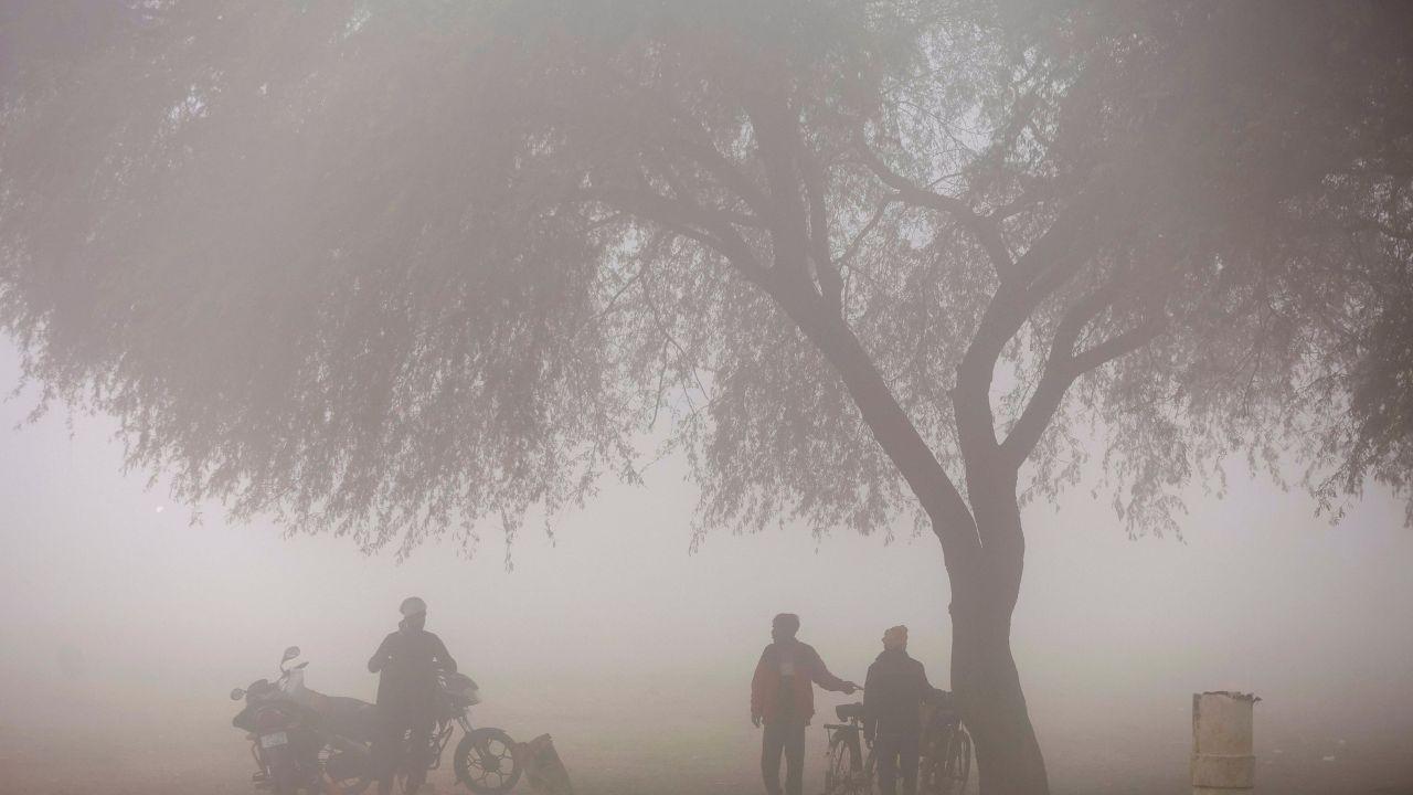 Meanwhile, in Prayagraj dense layer of smog is seen in this picture, where people are bundled in warm clothes, standing beneath a tree