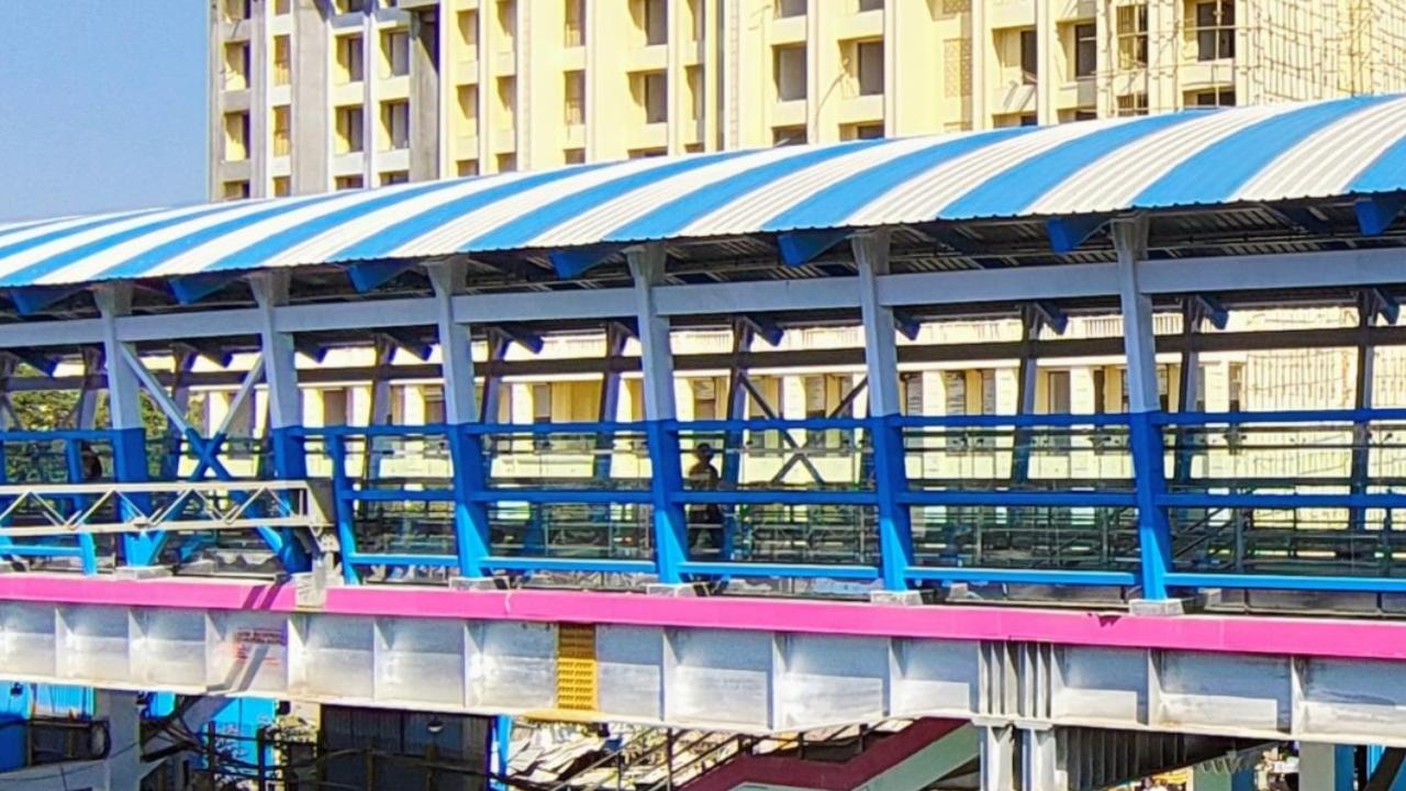 The elevated deck measures 60 metres in length and 10 metres in width