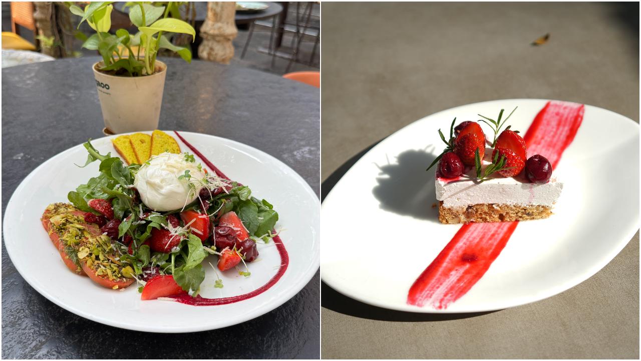 Santé Spa Cuisine has introduced a special 'Strawberry Menu', celebrating the seasonal fruit’s versatility. The menu begins with the Berry Burrata Salad, where whole milk burrata is paired with fresh mixed greens and finished with a tangy mustard berry dressing. The Charred Strawberry Sourdough Pizza combines smoked peppered strawberries with a hand-pulled sourdough base. To end on a sweet note, the Good Fat Strawberry Cheesecake offers a blend of whole milk mascarpone and cream cheese on a granola base, topped with fresh strawberries.
What: Strawberry Menu
When: Till February 28
Where: Santé Spa Cuisine, Multiple Outlets