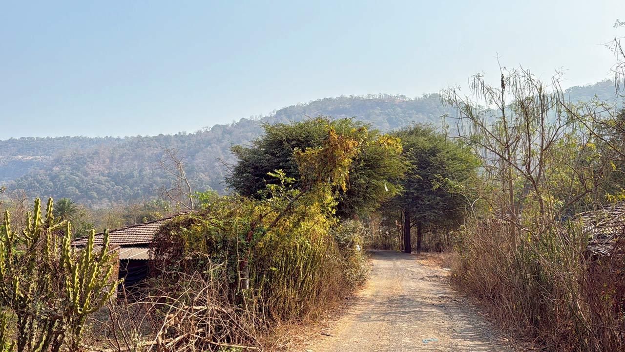 The lane leading to the hilly region where the armed tribals had gone for a hunting trip