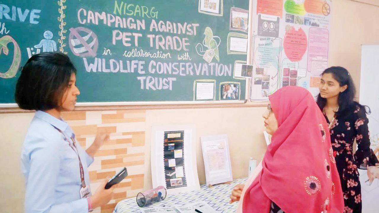 Students create awareness about animal abuse