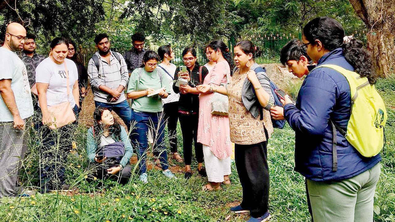 This wild food walk in Navi Mumbai will help people discover edible greens