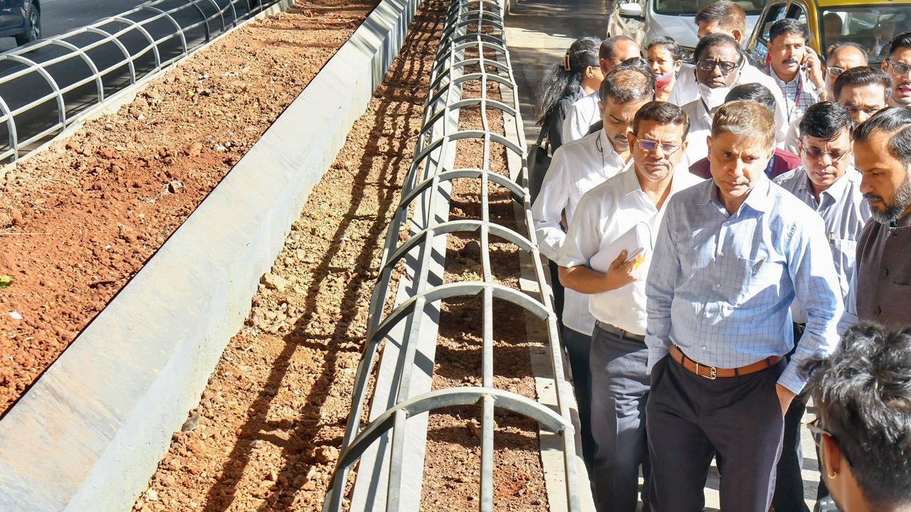Mumbai: BMC to complete JJ flyover beautification in two months