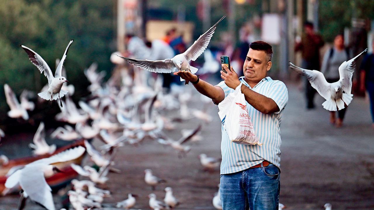 Mumbai Diary: Saturday Dossier