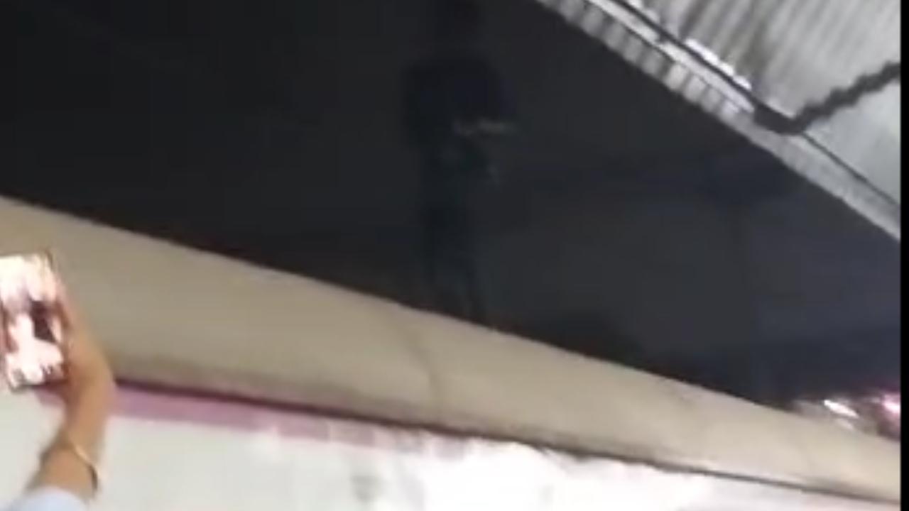 Harbour line services disrupted after man climbs OHE pole at Wadala