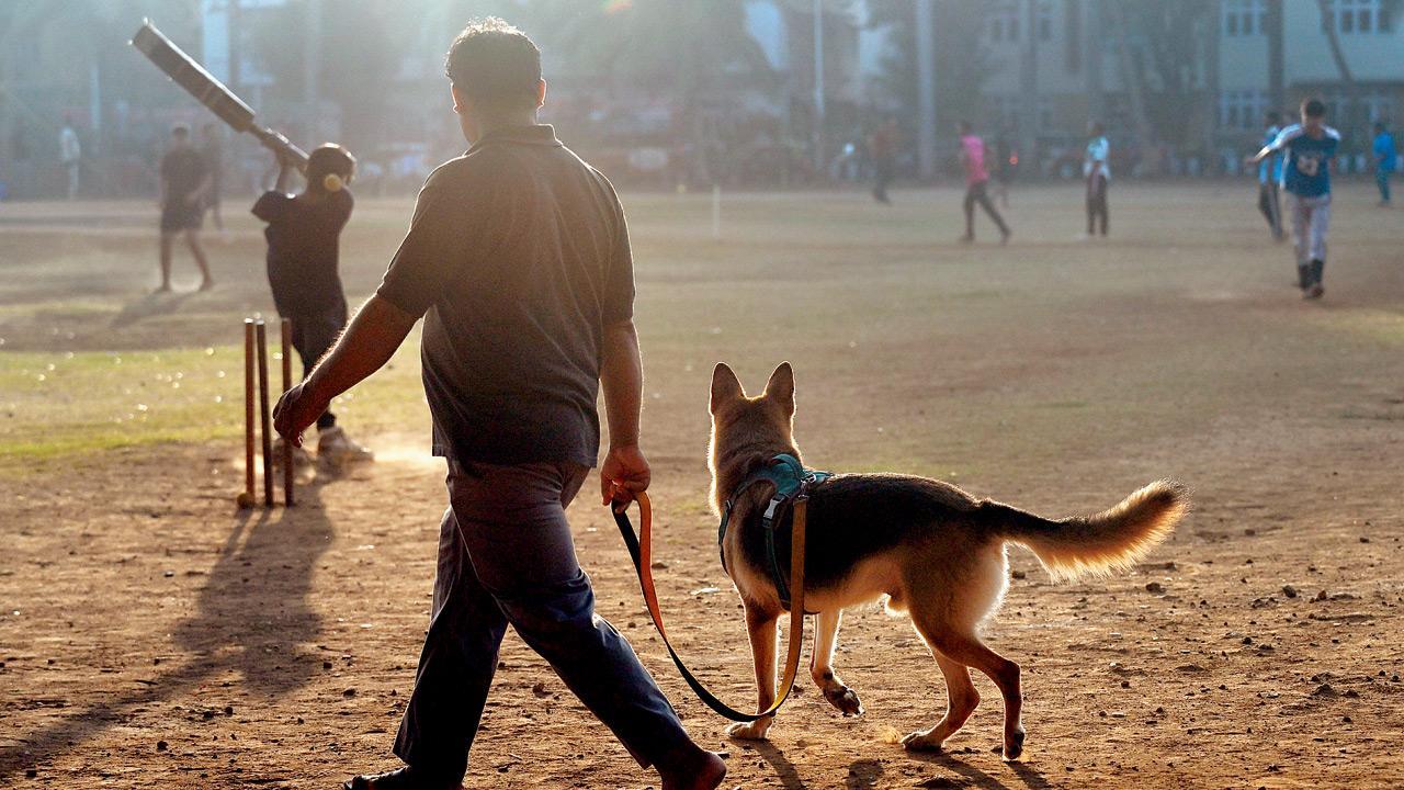 Mumbai Diary: Tuesday Dossier