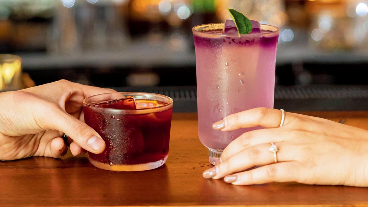 Coastal Negroni and curry leaf and lemongrass highball