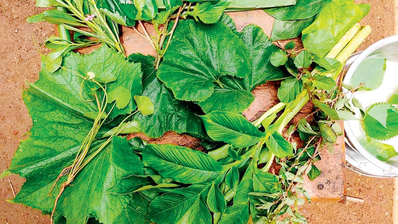 A bunch of foraged greens. Pics courtesy/Forgotten Greens