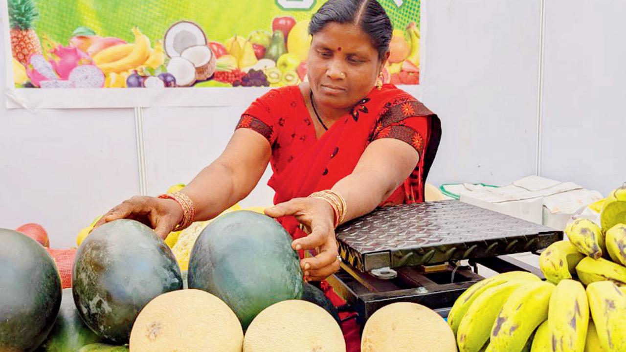 Organic fruits from Pandharpur 