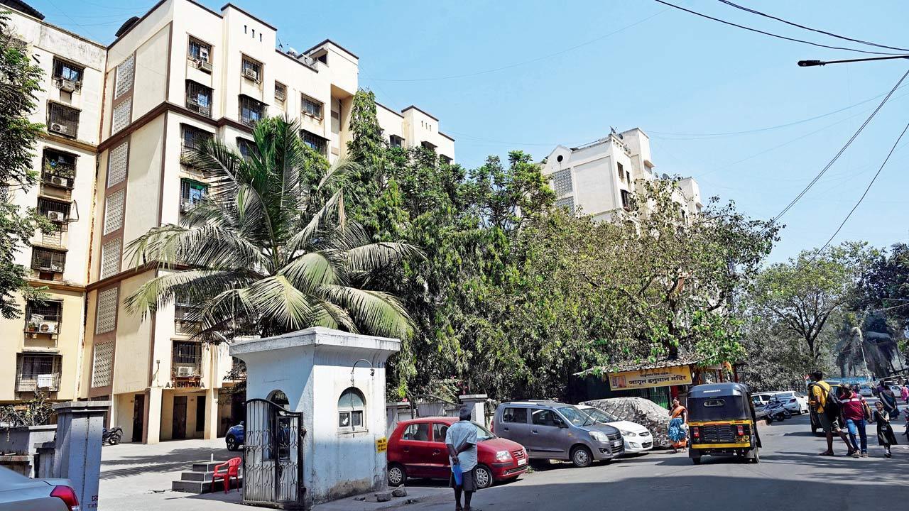 Mumbai: How these residential areas are battling mosquito menace round the year