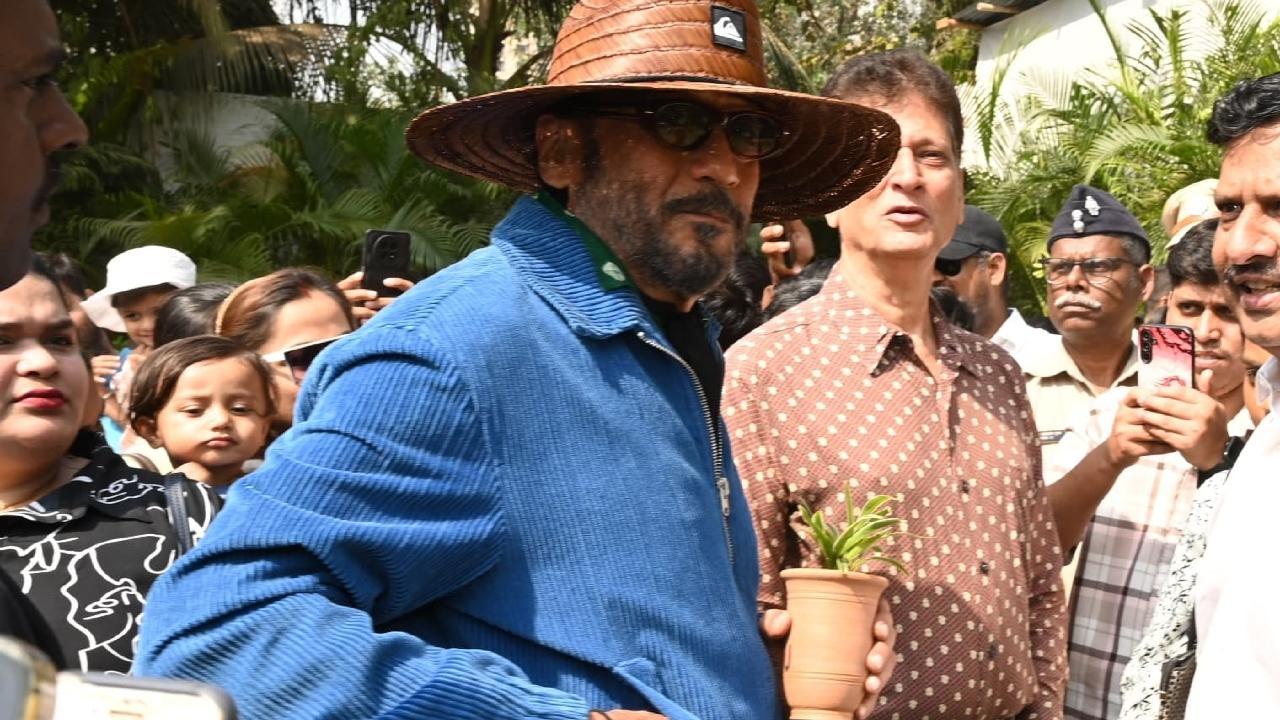 The event has been organised by the BMC and its Tree Authority. Pics/BMC