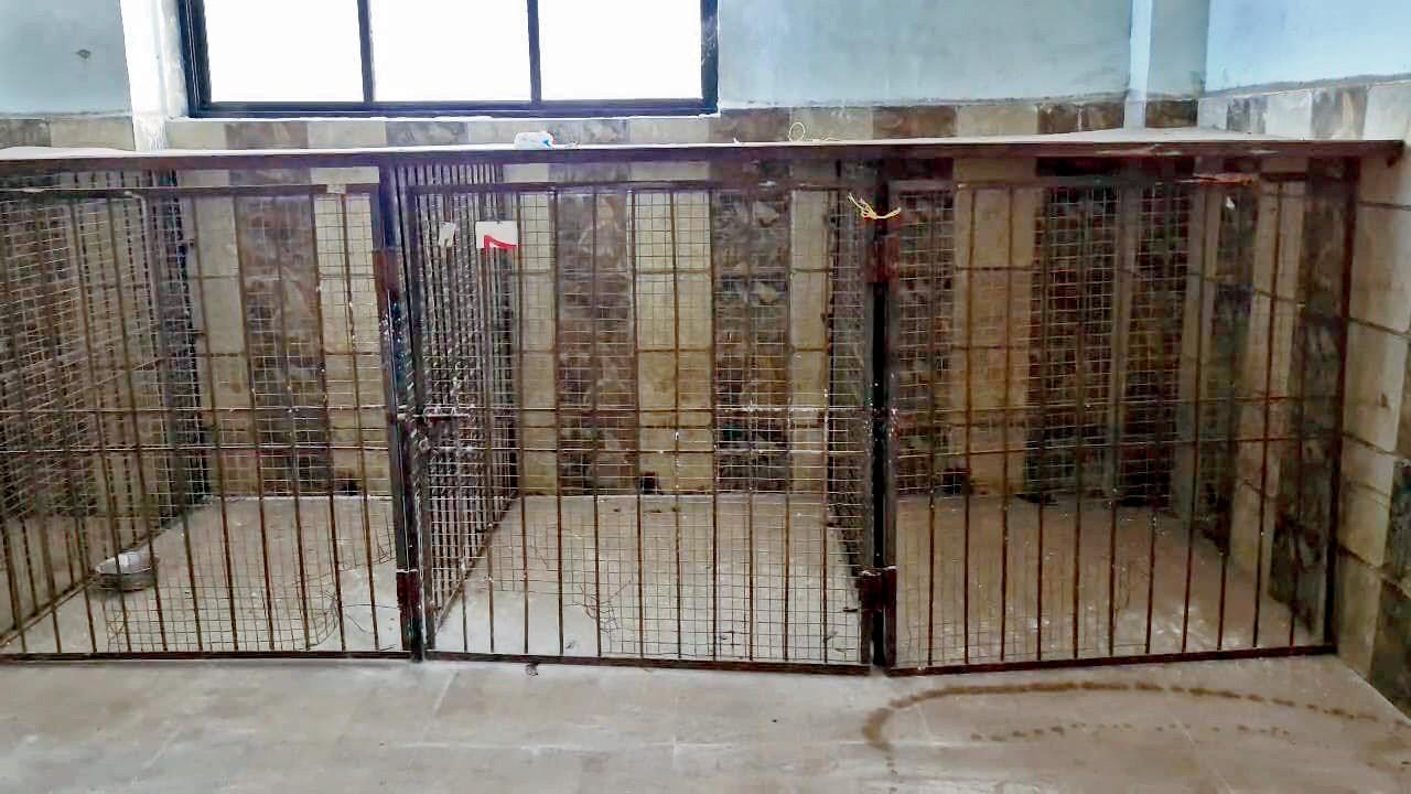 The Ulhasnagar Municipal Commissioner’s sterilisation department, which has been shut for the past few months. Pics/Navneet Barhate